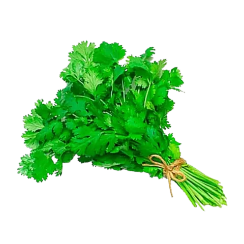 Cilantro por kg