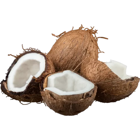 Cocos por und