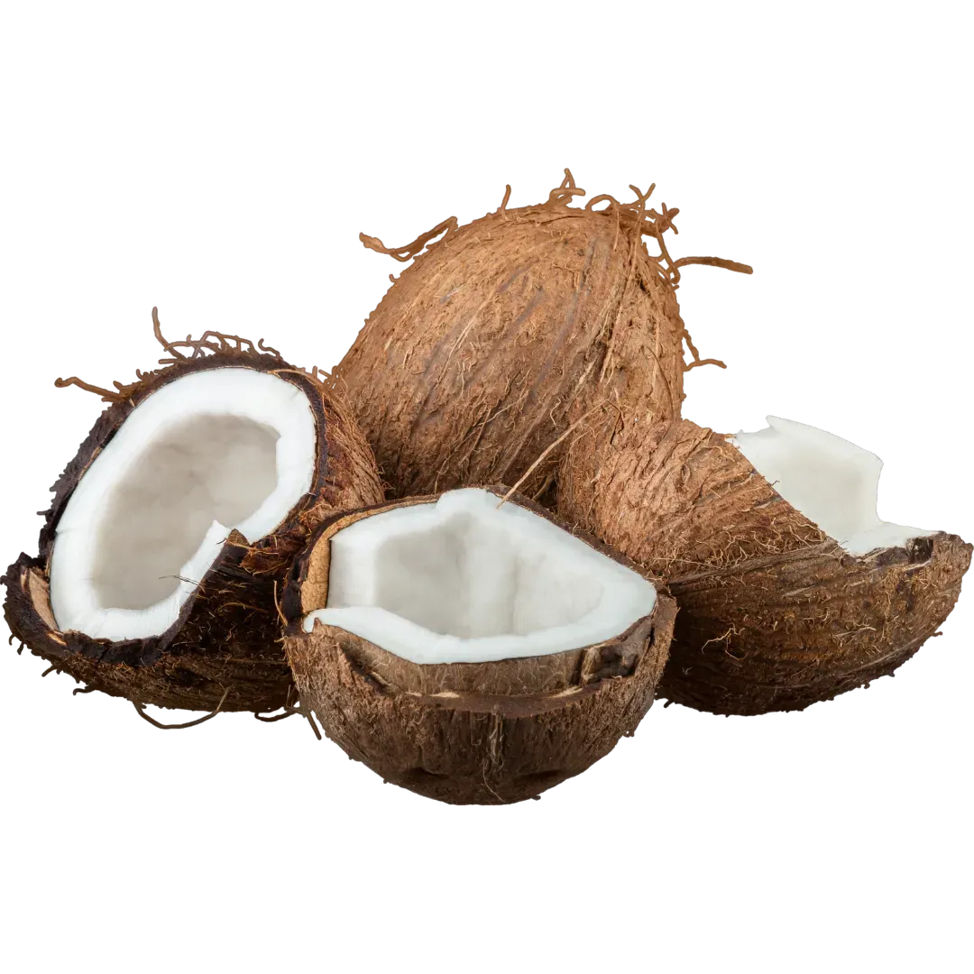 Cocos por und