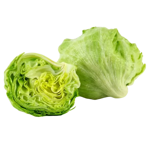 Lechuga Americana por kg