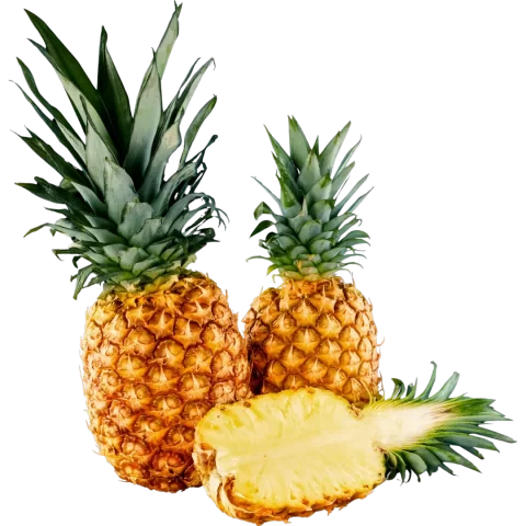 Piñas por kg