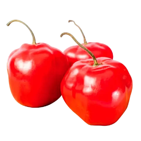 Rocoto por kg