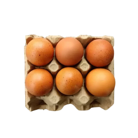 Carton de Huevo 6und