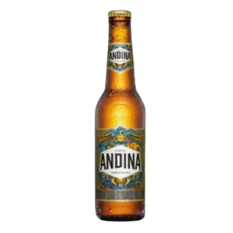 Cerveza Andina 300ml