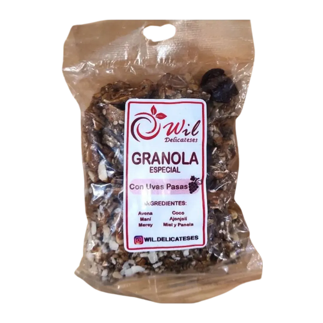 Granola Wil 90gr