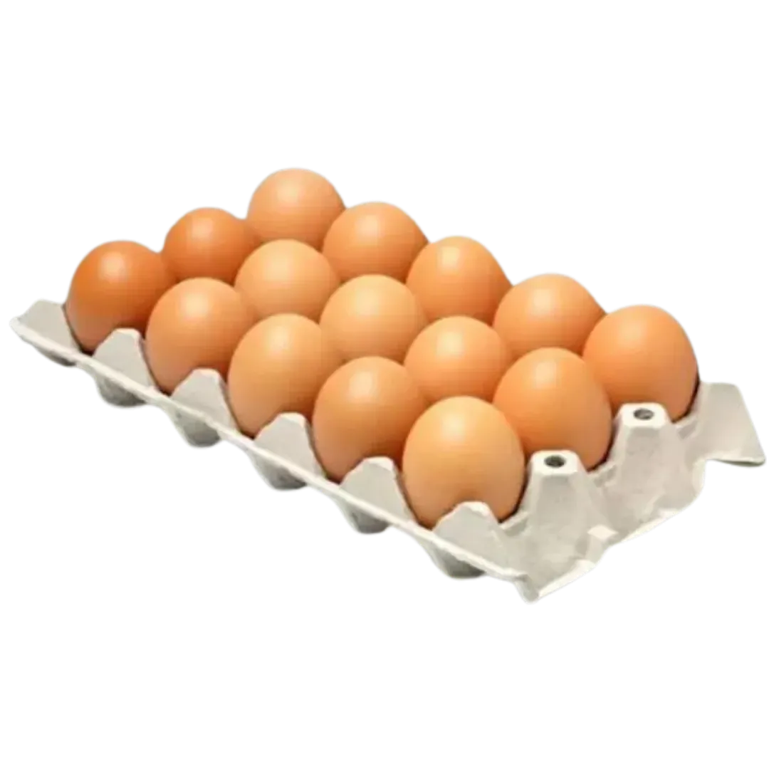 Carton de Huevos 15und