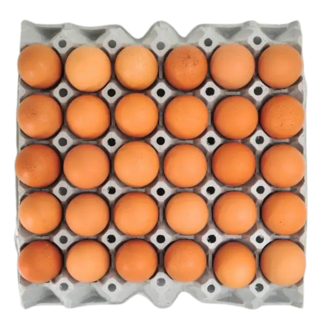 Carton de Huevos 30und