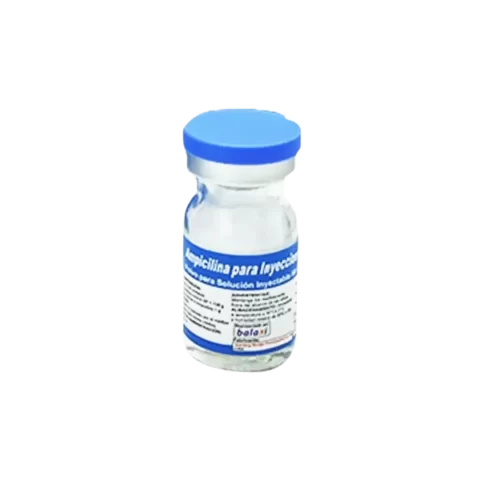 Ampicilina Balaxi 1g x 1amp